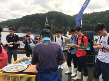 170905_sgh_sukumo_04真鯛の刺身を試食