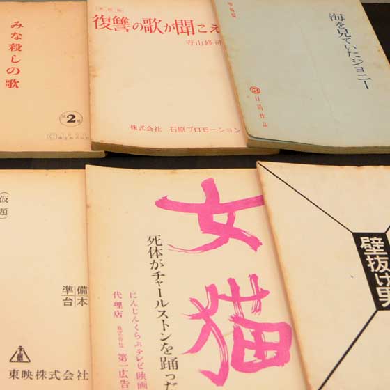 文学・芸術 早稲田大学