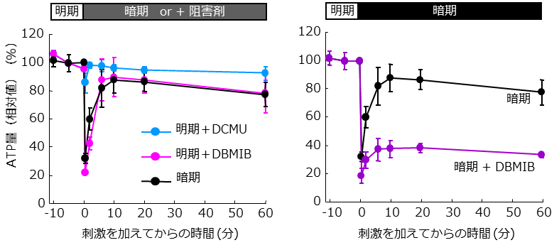 20150619_fig2