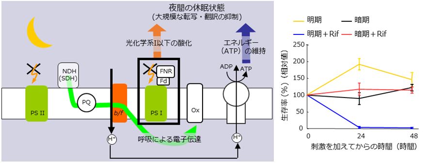 20150619_fig3