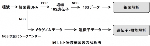 20170405_fig1