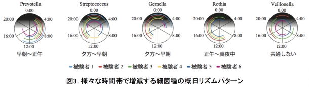 20170405_fig3