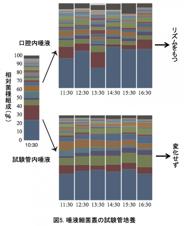 20170405_fig5