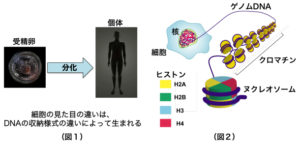 20170414_fig1fig2