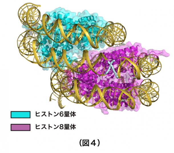 20170414_fig4