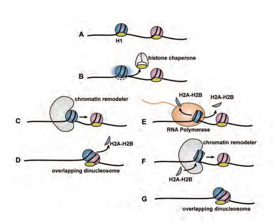 Figure 01