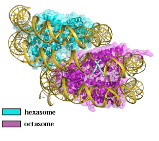 Figure 02