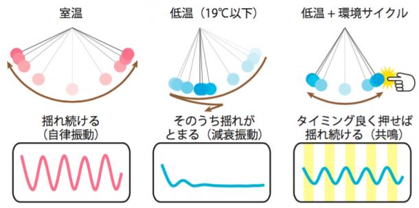 20170516_fig0
