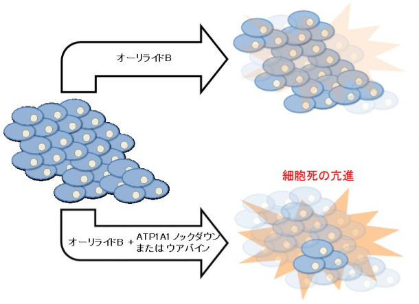 20170523_fig4