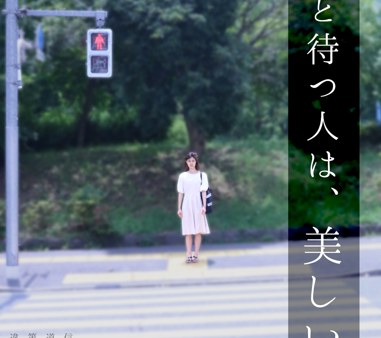 ちゃんと待つ人は 美しい 広告研 戸塚署とポスター作成 早稲田ウィークリー
