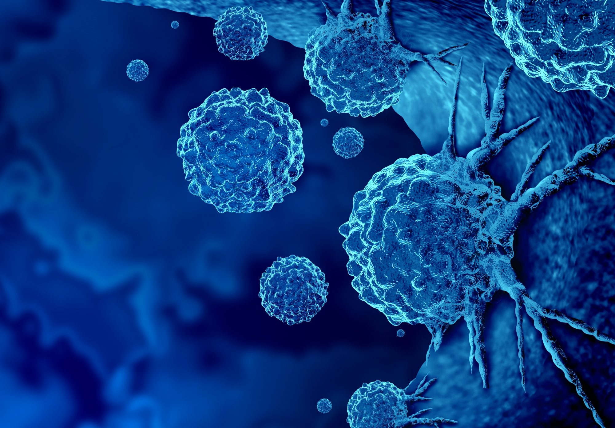 shutterstock_1821340823-