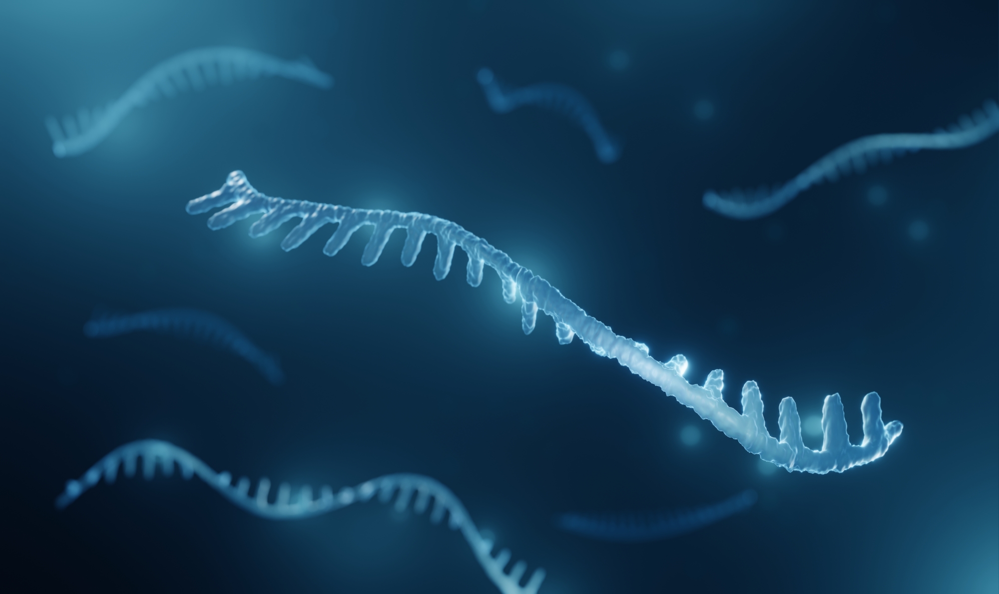 自己複製する最小のRNAを発見 – 早稲田大学