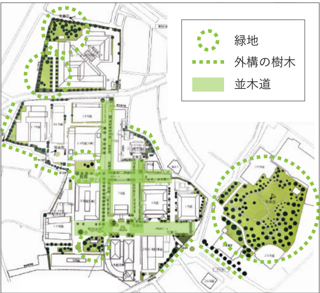 図 早稲田キャンパスの緑化の現状
