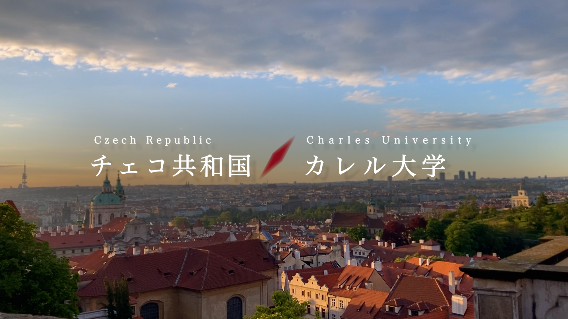 留学リポート チェコ カレル大学 早稲田大学