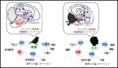 waseda_0628_figure1.jpg