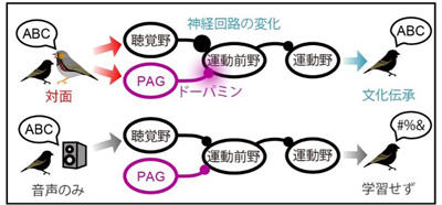 waseda_0628_figure2.jpg