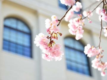 Schedule for Spring 2025 entrance ceremonies