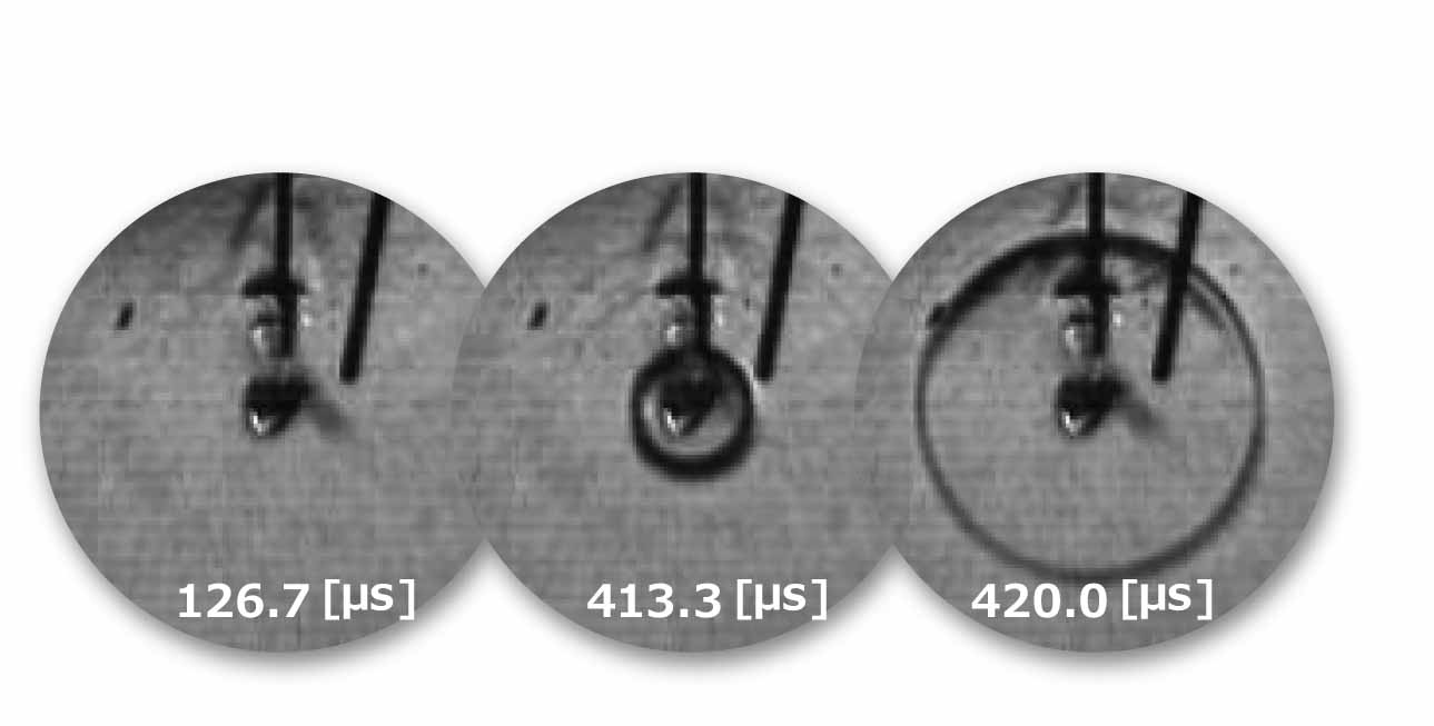 Vision 150: Waseda University’s Educational and Research Strengths  -Part 3- Multiscale Analysis, Modeling and Simulation