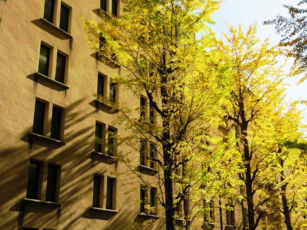 Late autumn at Waseda Campus