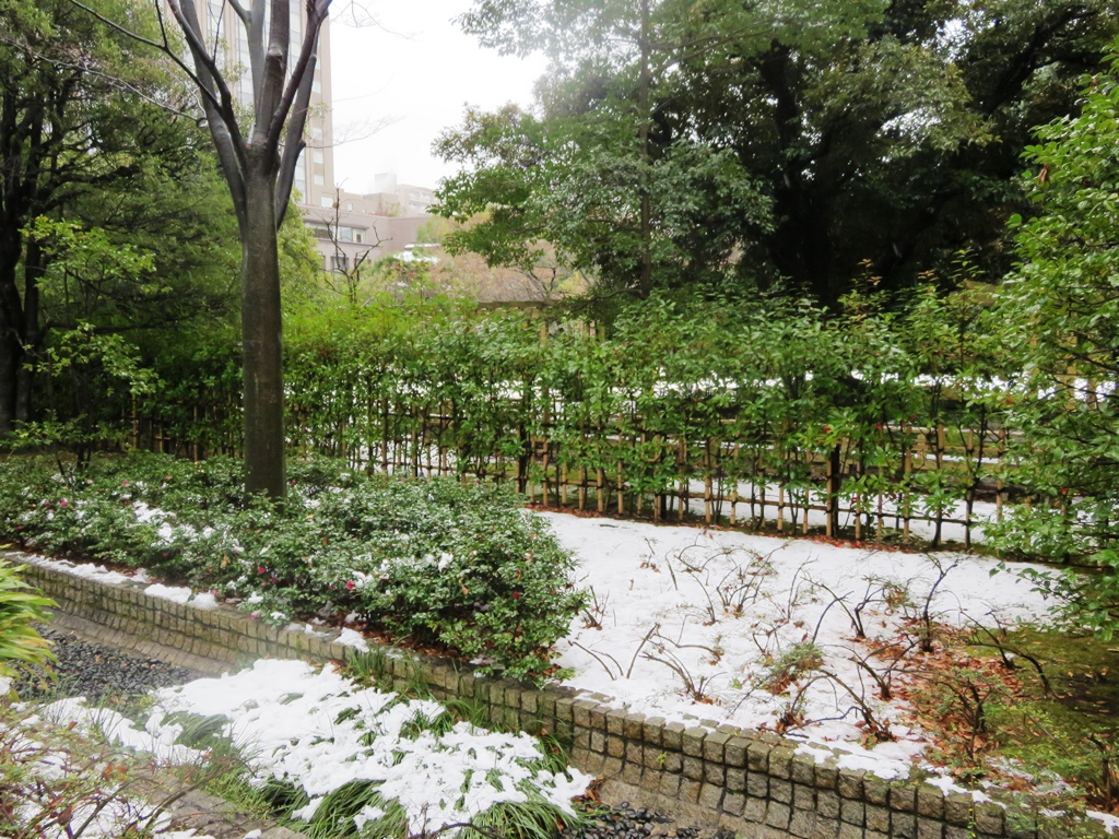 Waseda Campus lockout period from Feb. 5-23