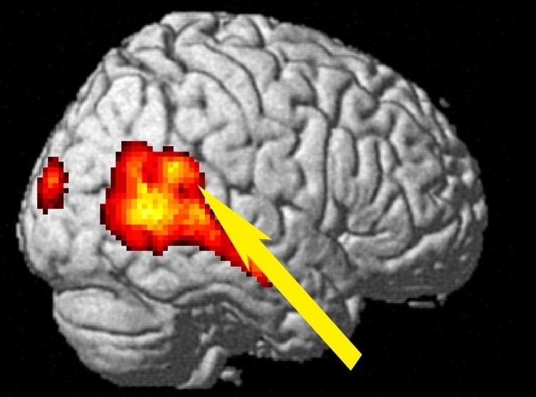 Studying the brain to understand how humans encode effort level of others