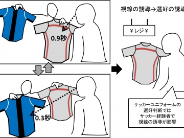 視線誘導効果
