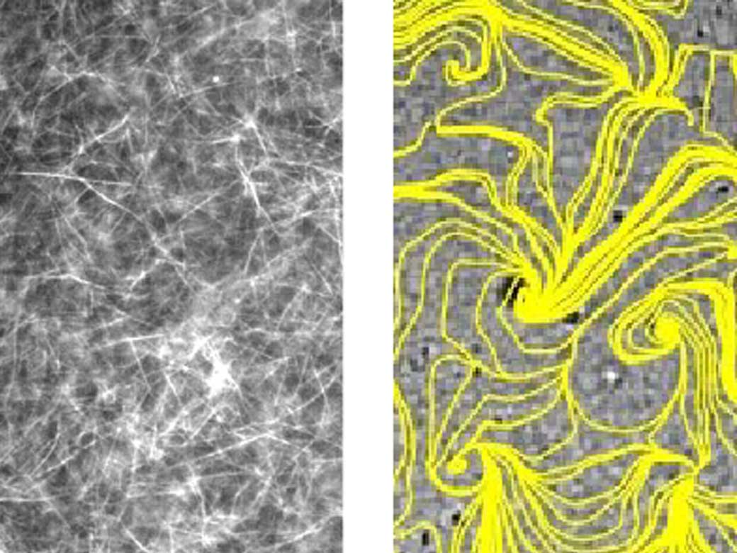 World’s first success in reproducing rotational cytoplasmic flow with artificial cells