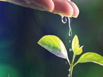 International Symposium “Towards the Creation of Reconciliation Studies”