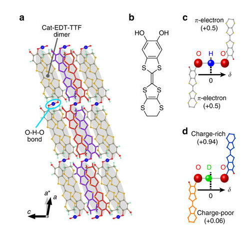Proton fluctuations in a hydrogen-bonded organic Mott insulator provides different class of quantum spin liquids