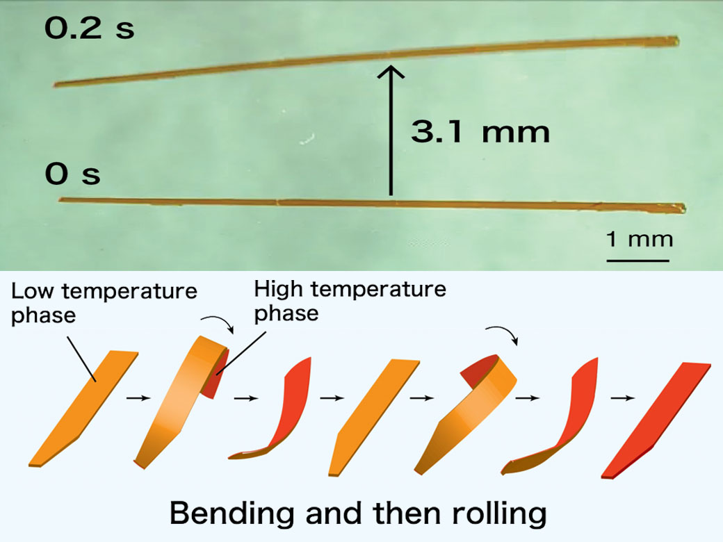 Robotic crystals that walk n’ roll