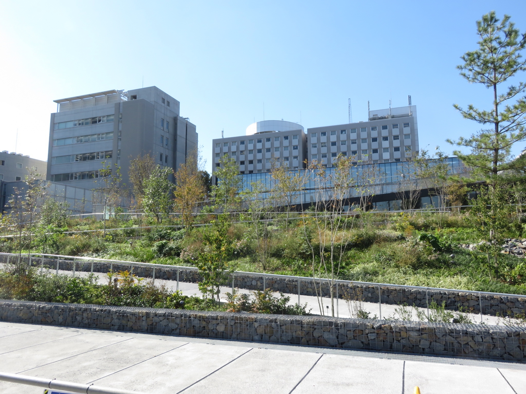 From Memorial Hall to Waseda Arena