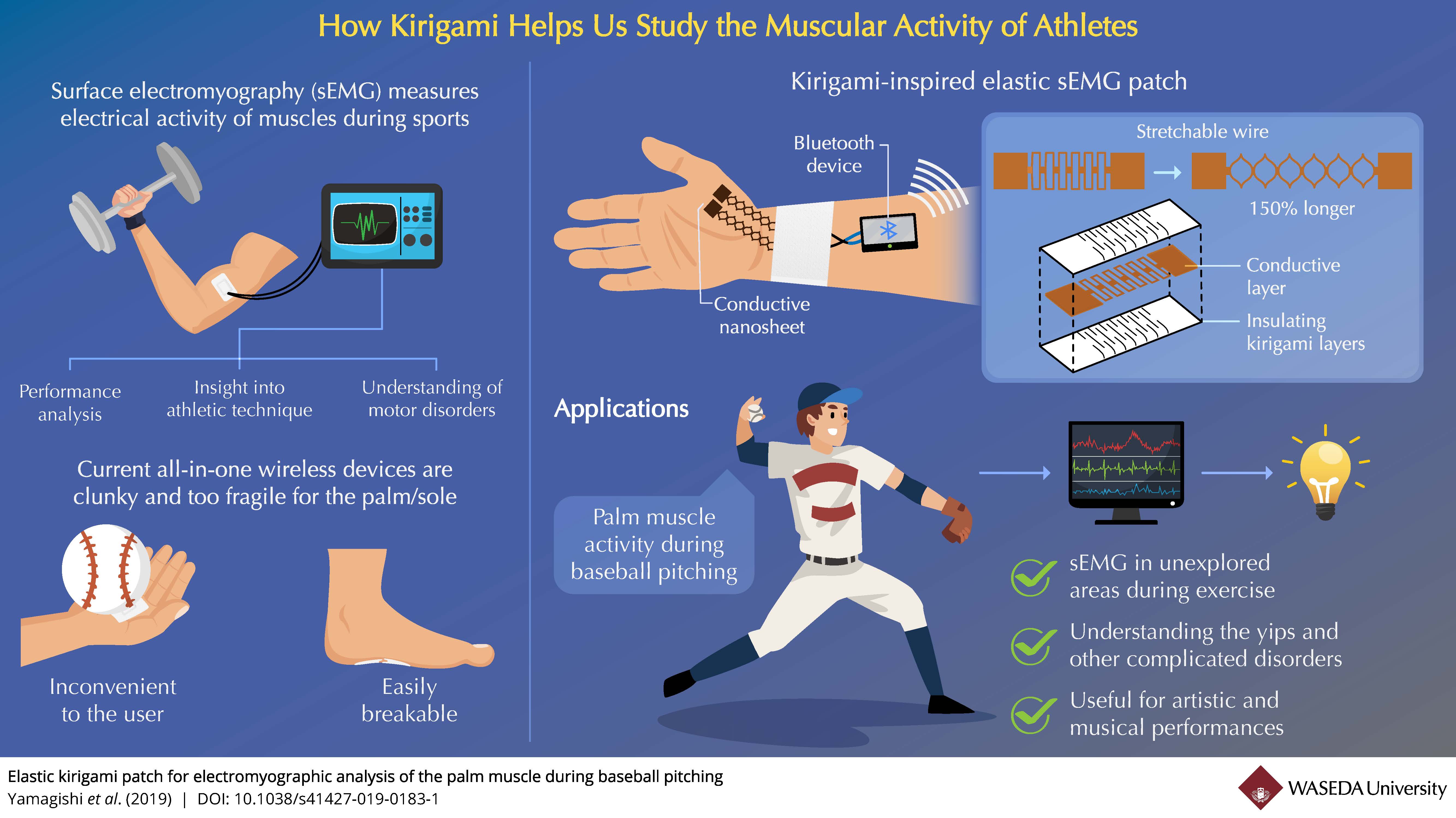 How kirigami can help us study the muscular activity of athletes – Waseda  University