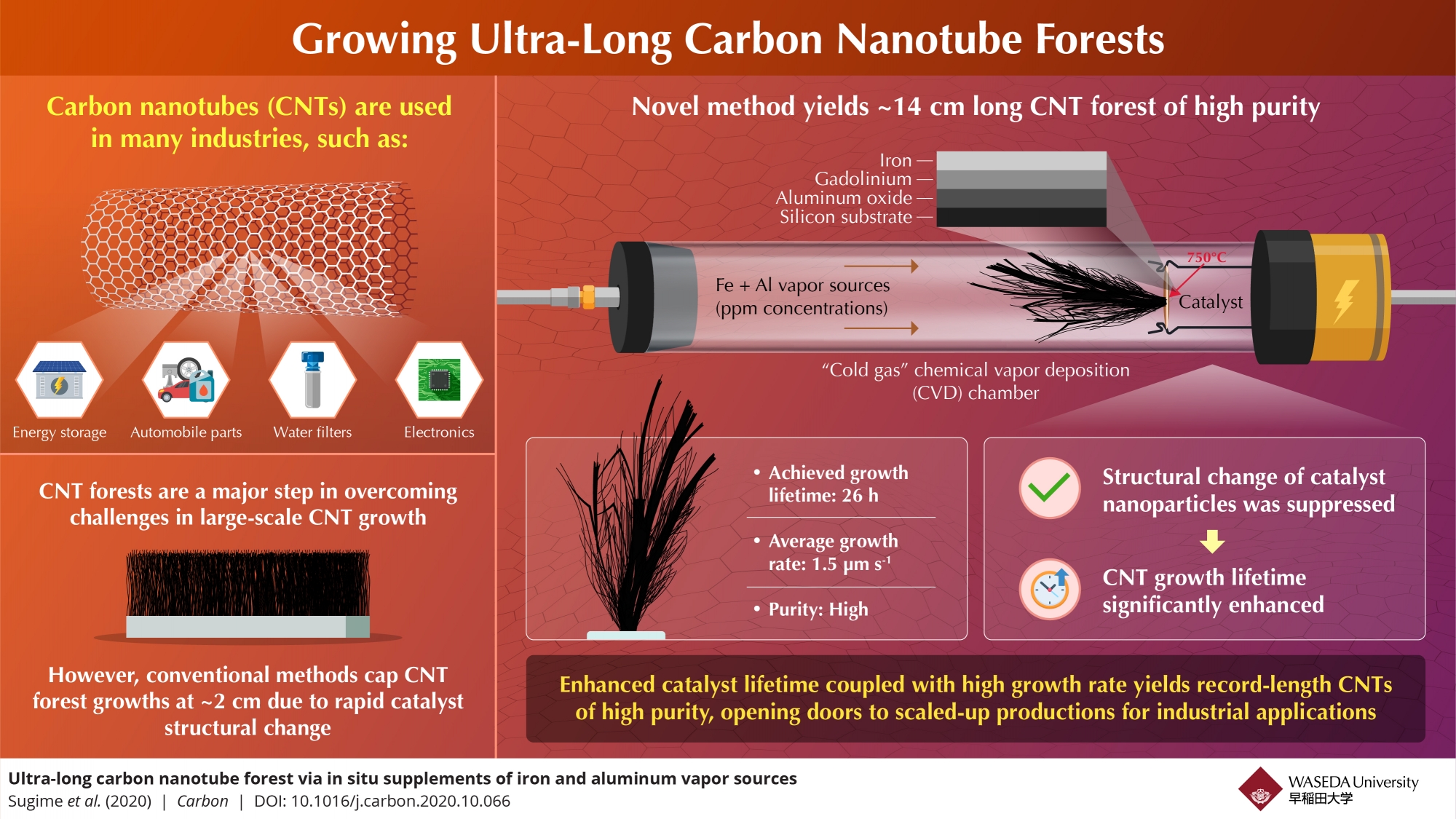 Scientists Grow Carbon Nanotube Forest Much Longer Than Any Other