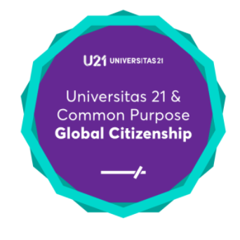 Inspired by an online international program
