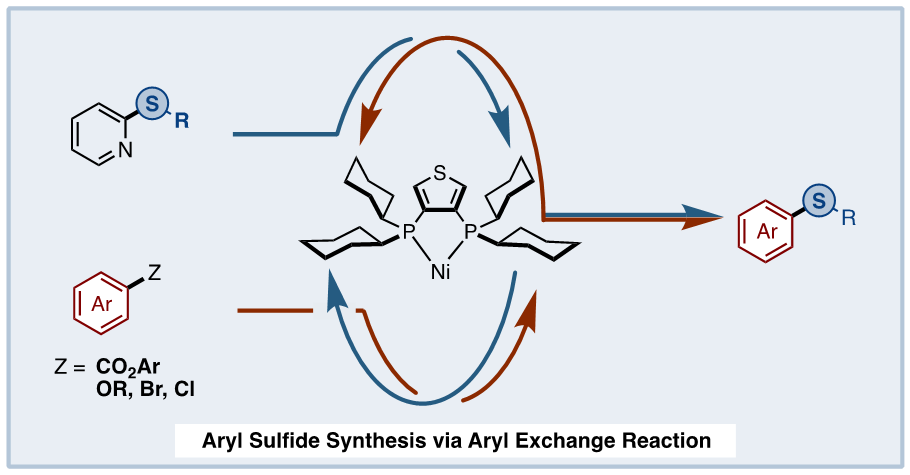 A Mutual Exchange: Synthesizing Aryl Sulfides from Non-smelling, Non-toxic Compounds