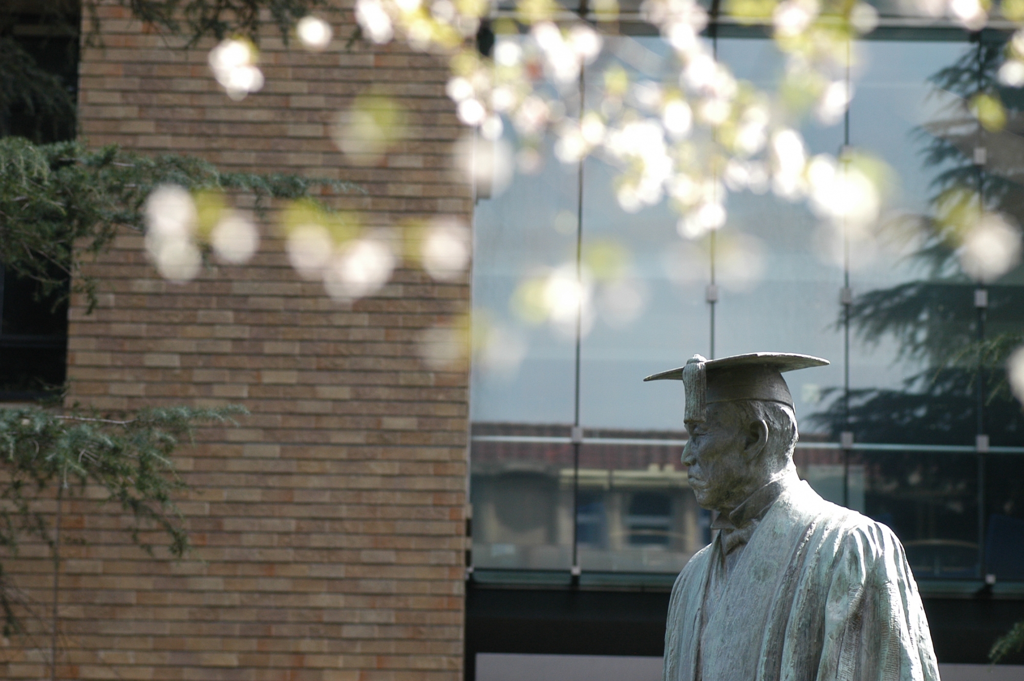 Autumn 2023 graduation and entrance ceremonies