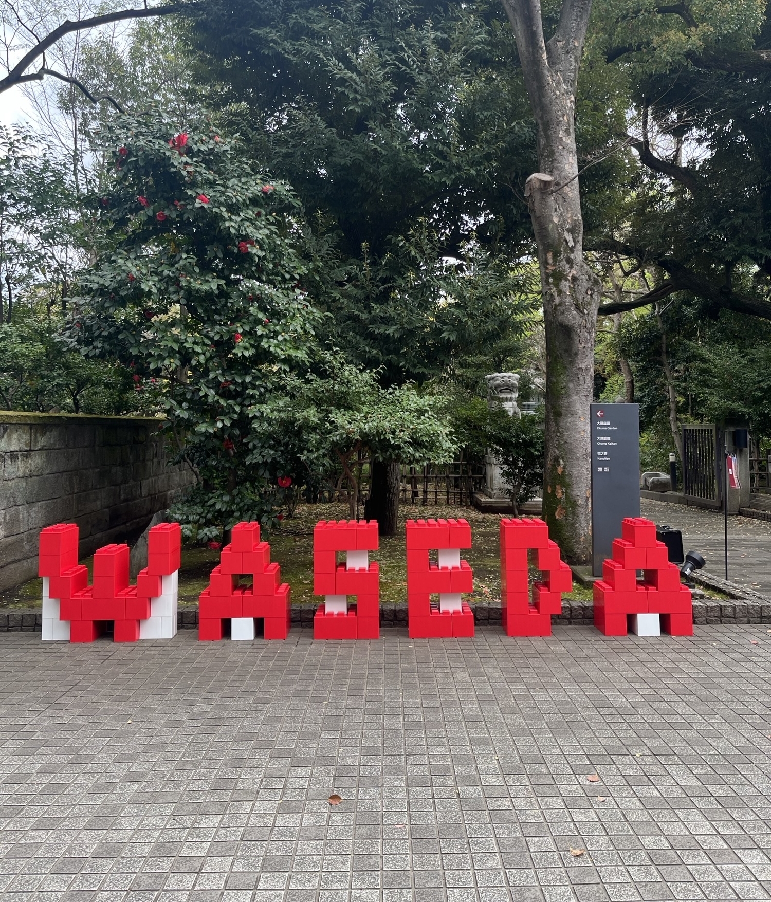 Photo spots on Waseda Campus to celebrate your graduation!