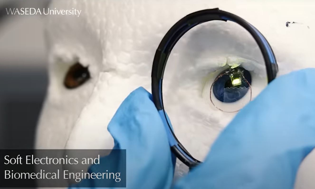 Research Recap at Waseda University 2023 (video)