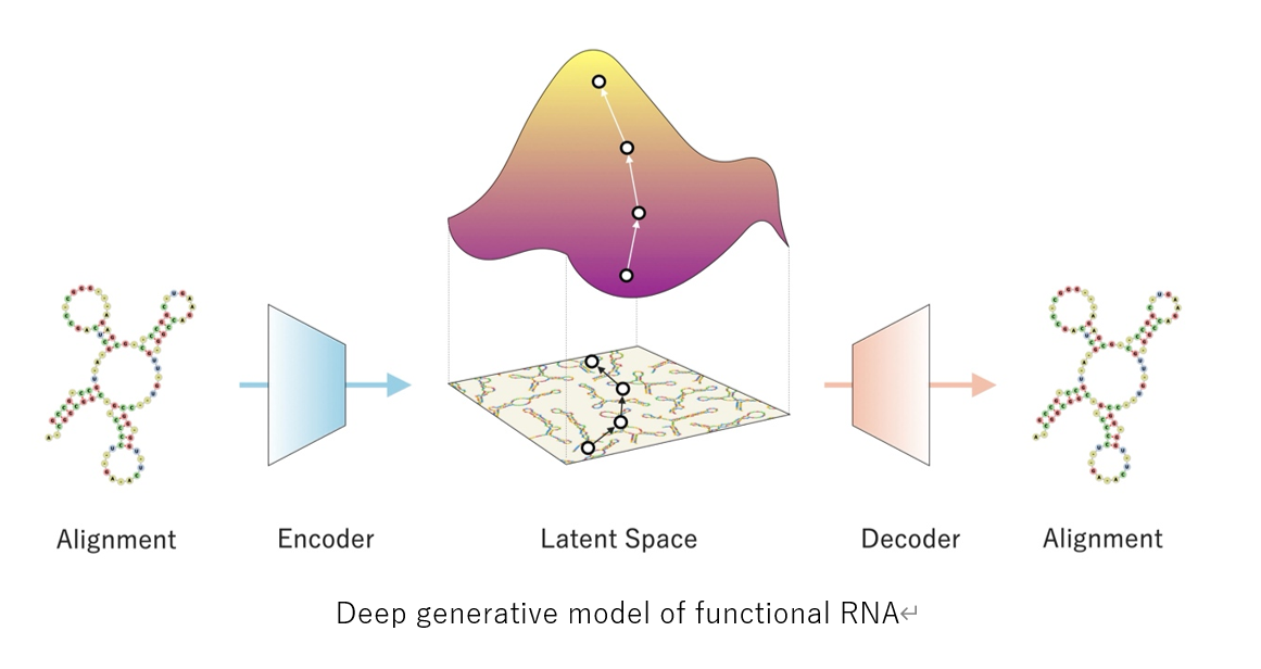 Constructing a Deep Generative Approach for Functional RNA Design