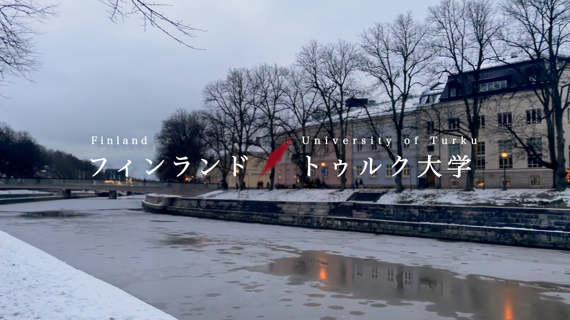 Student Study Abroad Report 2023 #10 University of Turku (Finland)