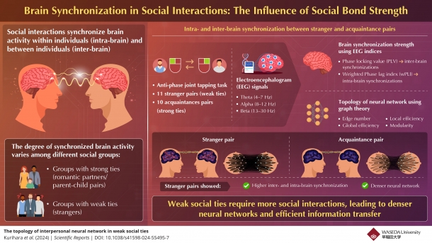 Exploring Brain Synchronization Patterns During Social Interactions ...