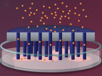 Revolutionizing Cancer Treatment by Intracellular Protein Delivery Using Hybrid Nanotubes