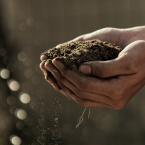 The International Symposium on One Health by Sustainable Bio-ecosystem