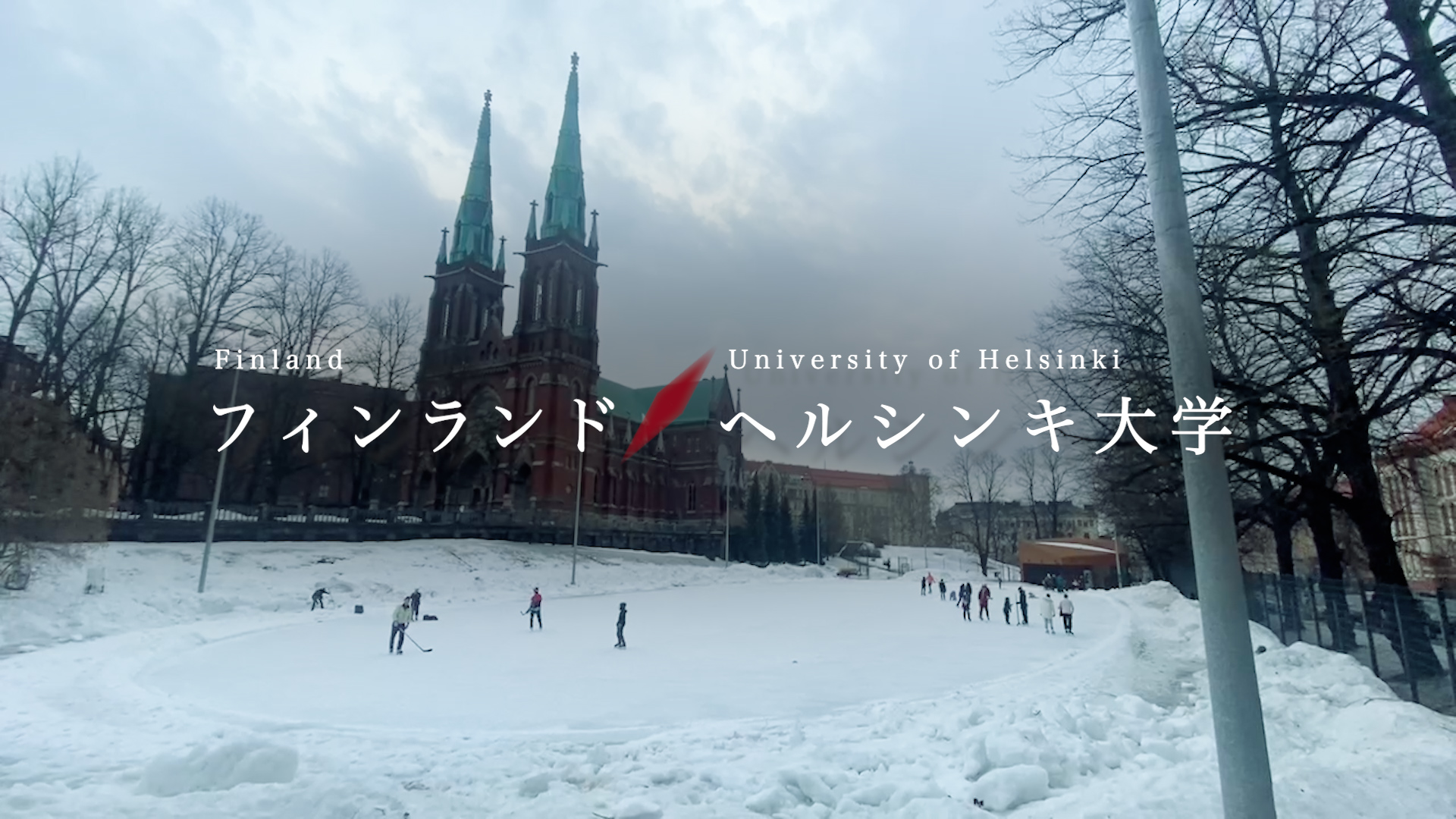 Student Study Abroad Report –University of Helsinki