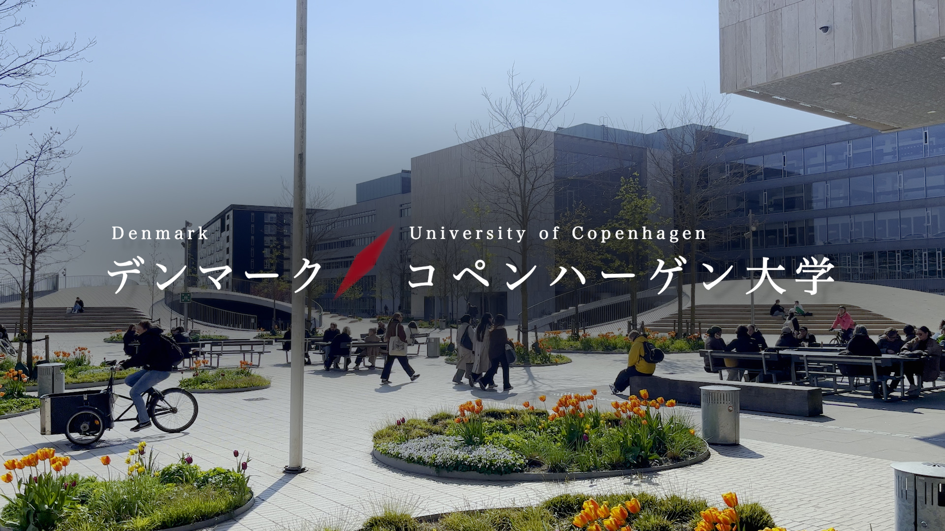 Student Study Abroad Report –University of Copenhagen