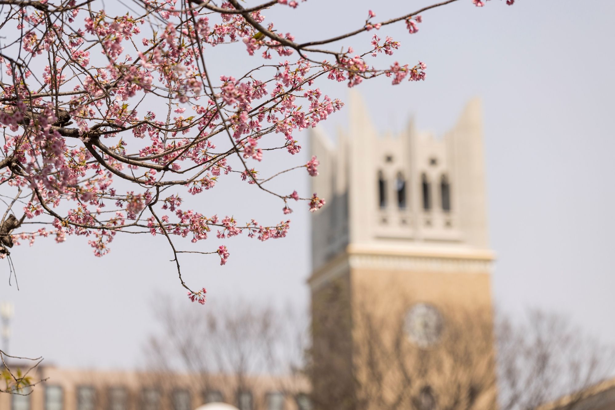 Schedule for Spring 2026 Graduation Ceremonies