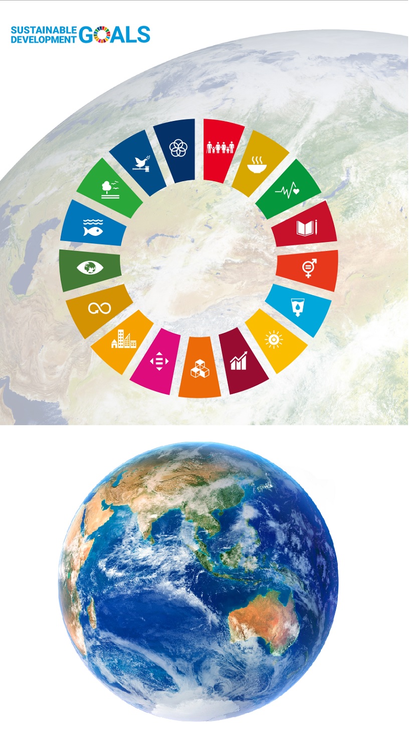 Waseda’s Commitment to Realizing the Sustainable Development Goals