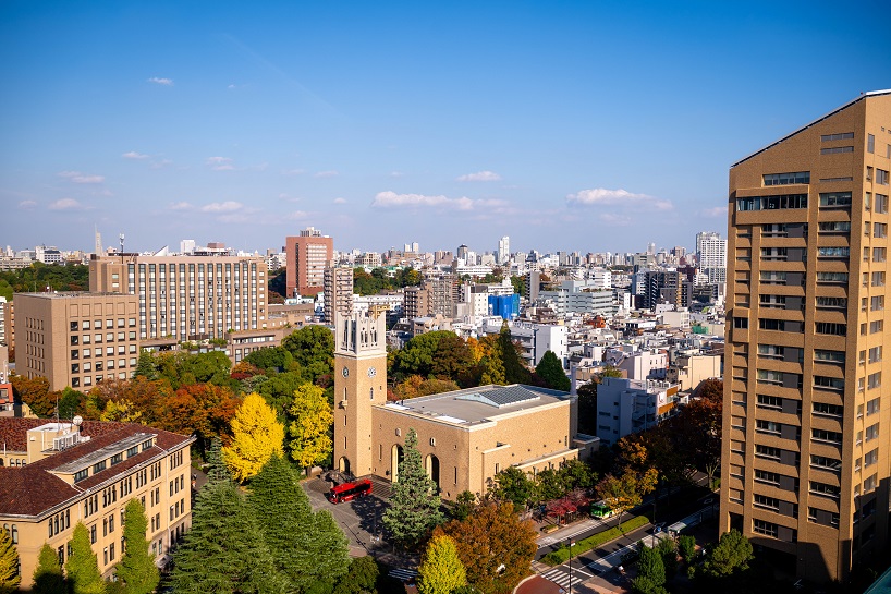 English-based Undergraduate Programs