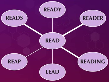 Towards Decoding the Nature of Word Recognition