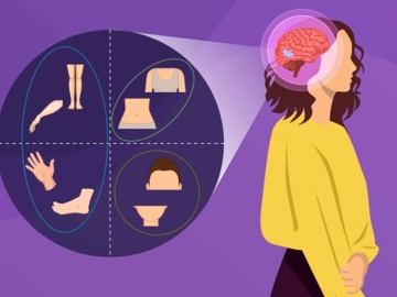 Adults with Autism Show Similar Brain Mapping of Body Parts as Typically Developing Adults
